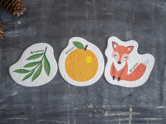 Set of 3 Pop-up Sponge