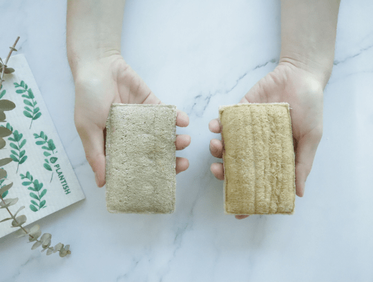 Eco Sponge